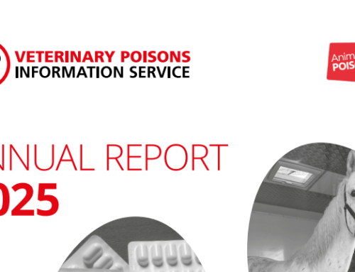 Annual Report 2025